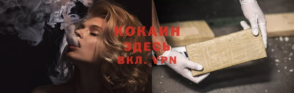 стафф Алзамай