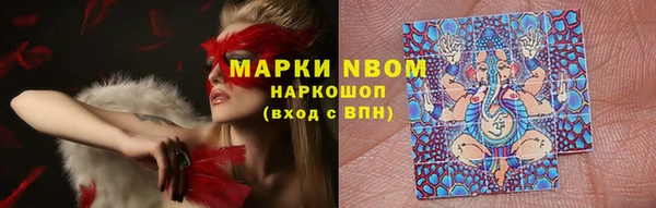 крисы Абдулино