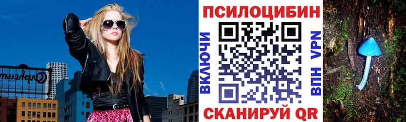 наркошоп  Устюжна  это телеграм  Галлюциногенные грибы Psilocybine cubensis  кракен зеркало 