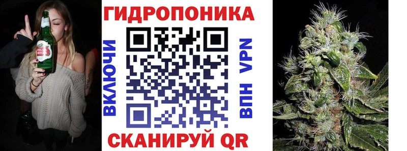 Бошки Шишки VHQ Устюжна